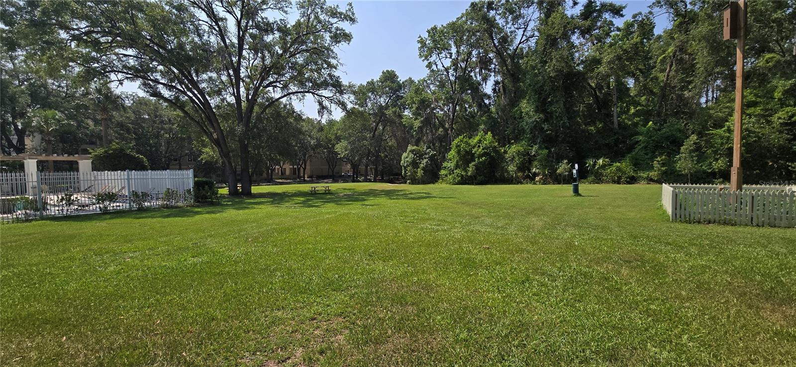 THE VILLAGE AT HAILE - Residential