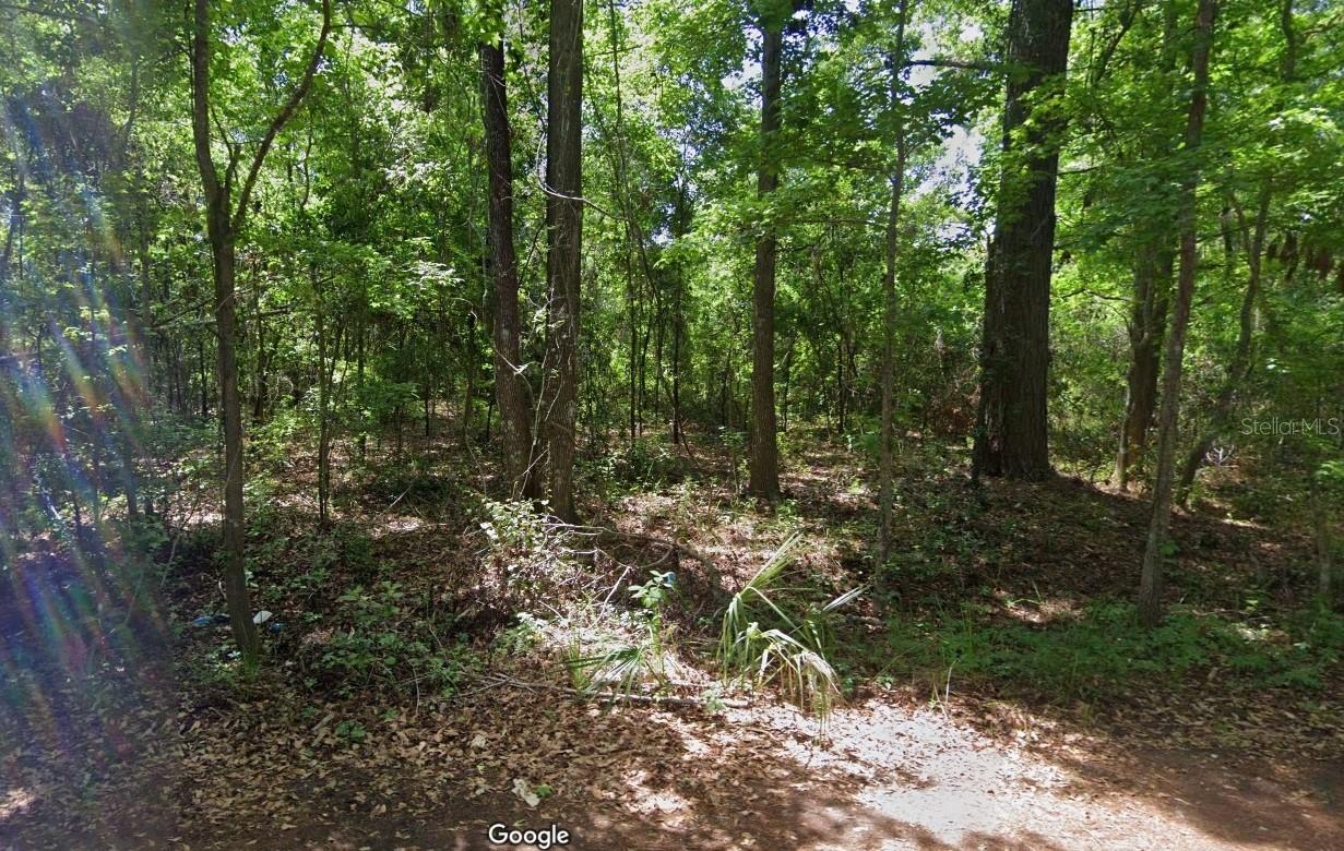 Build your dream home in the rapidly growing and serene area of Ocala. This property is nestled up to the Marshall Swamp Wildlife Management Area. Enjoy the small-town flair with annual festivals, rodeos, world-renowned fishing, and abundant hunting opportunities.