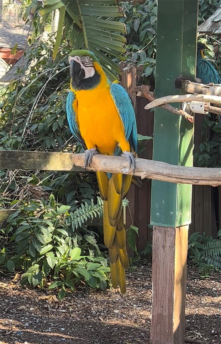 PORT CHARLOTTE SUB 01 - Land