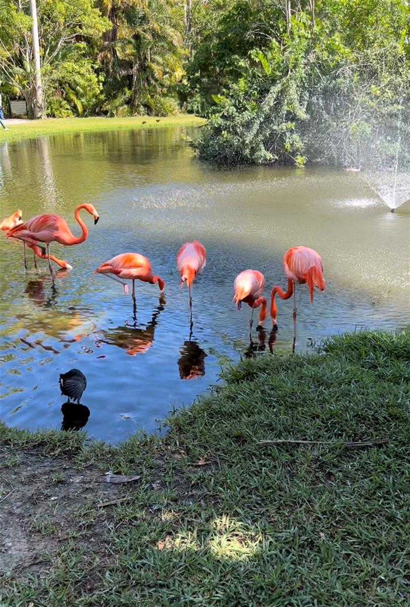 PORT CHARLOTTE SUB 01 - Land