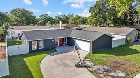 A home in TAMPA