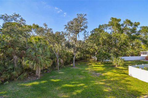 A home in TAMPA