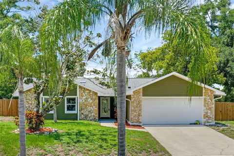 A home in ORLANDO