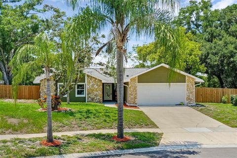 A home in ORLANDO