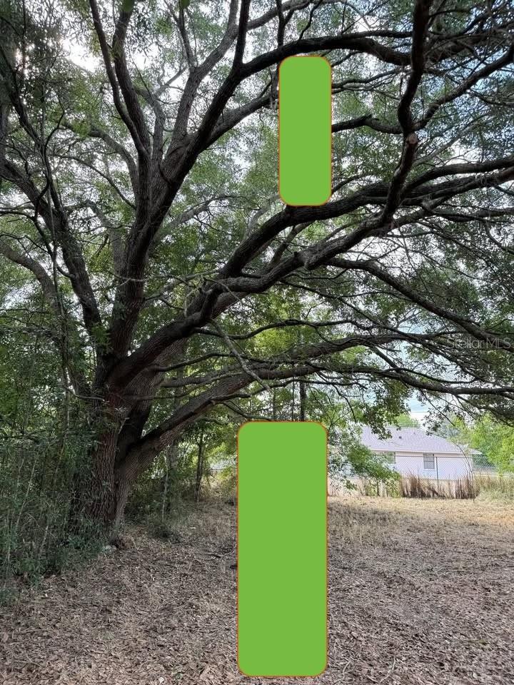 SILVER SPRINGS SHORES  UNIT 23 - Land