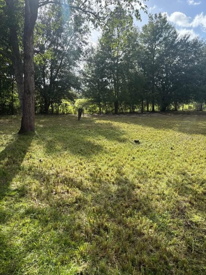 SILVER SPRINGS SHORES  UNIT 23 - Land