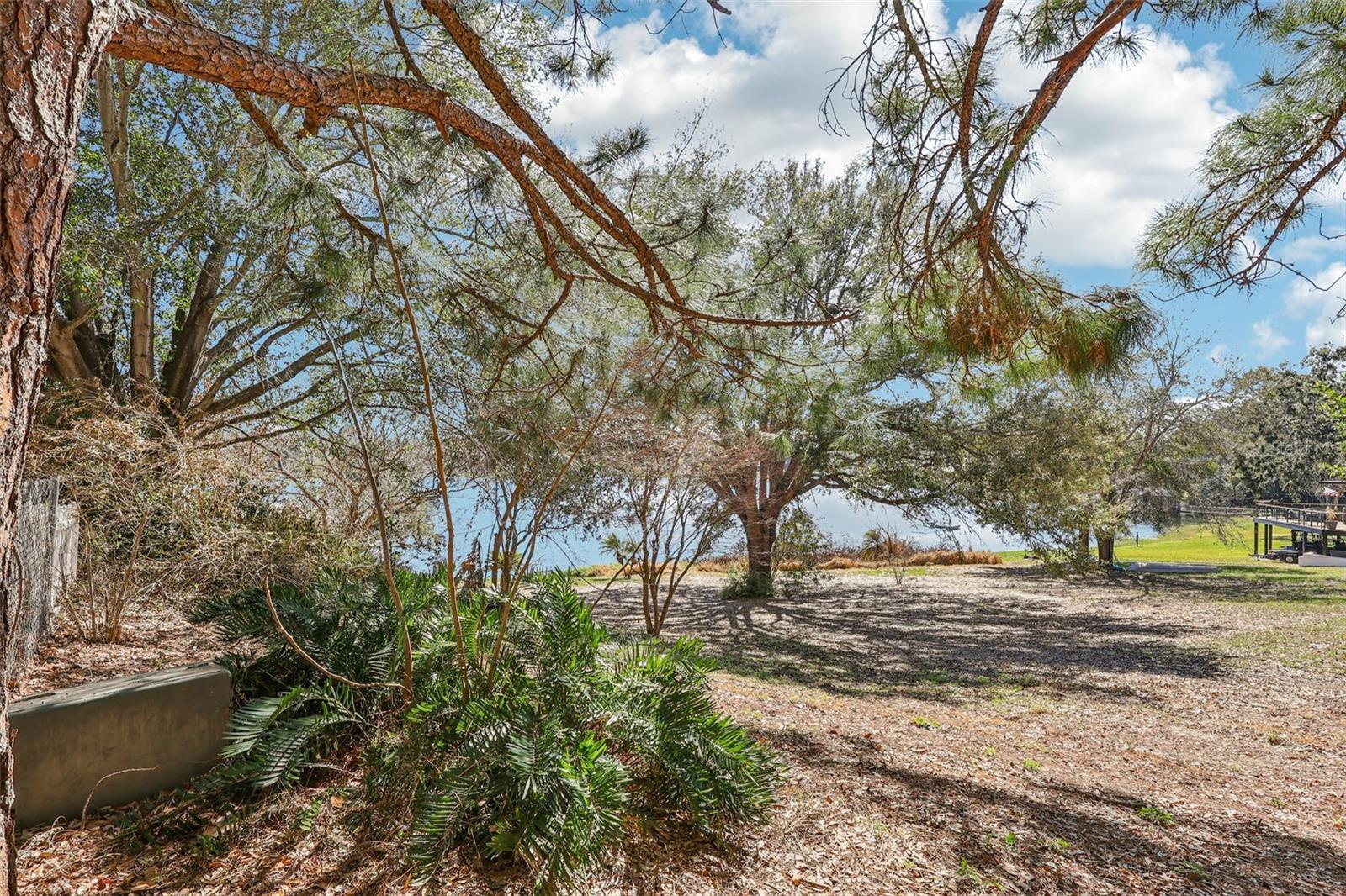 EUSTIS BELMONT HEIGHTS - Land