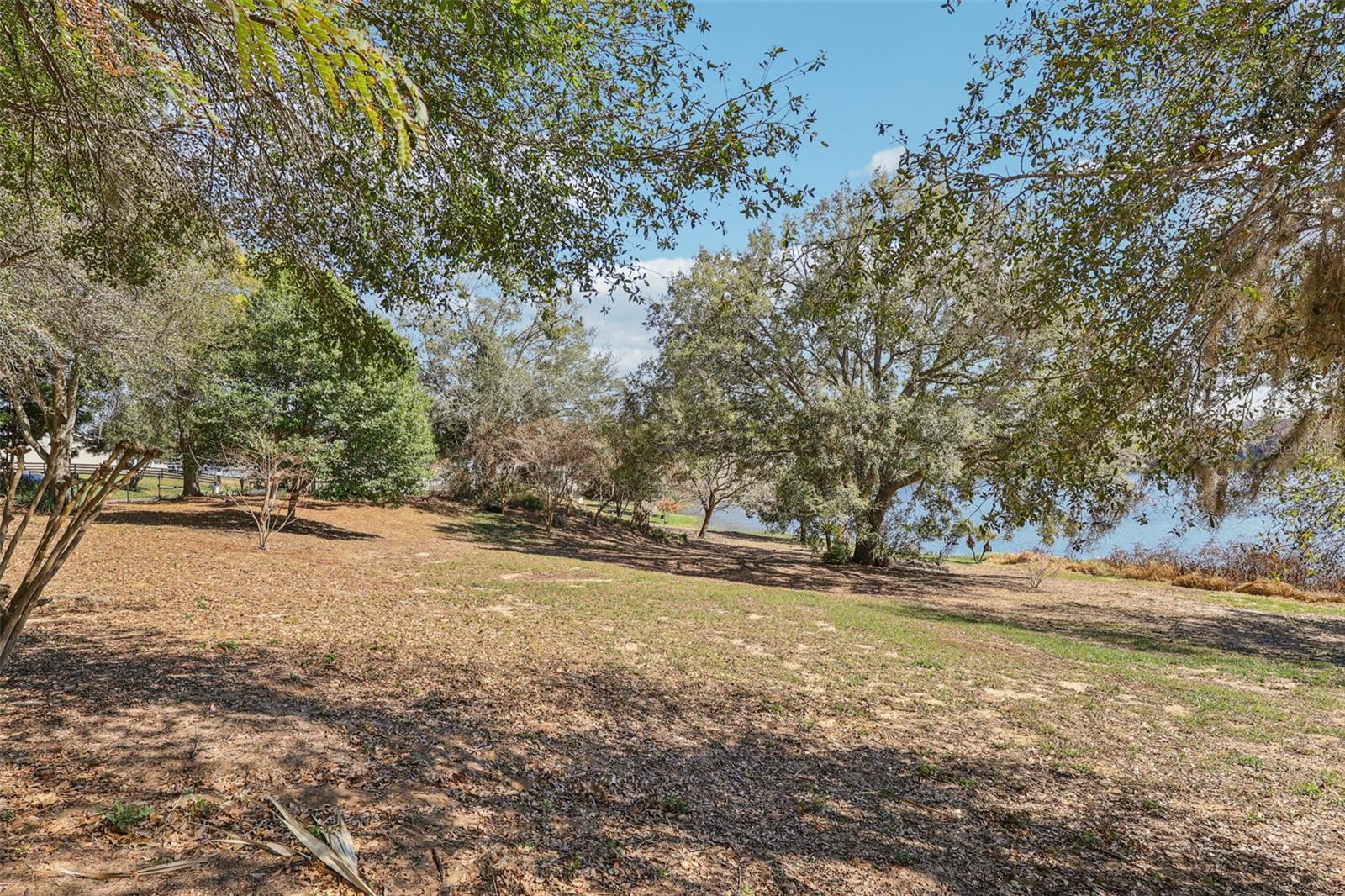 EUSTIS BELMONT HEIGHTS - Land