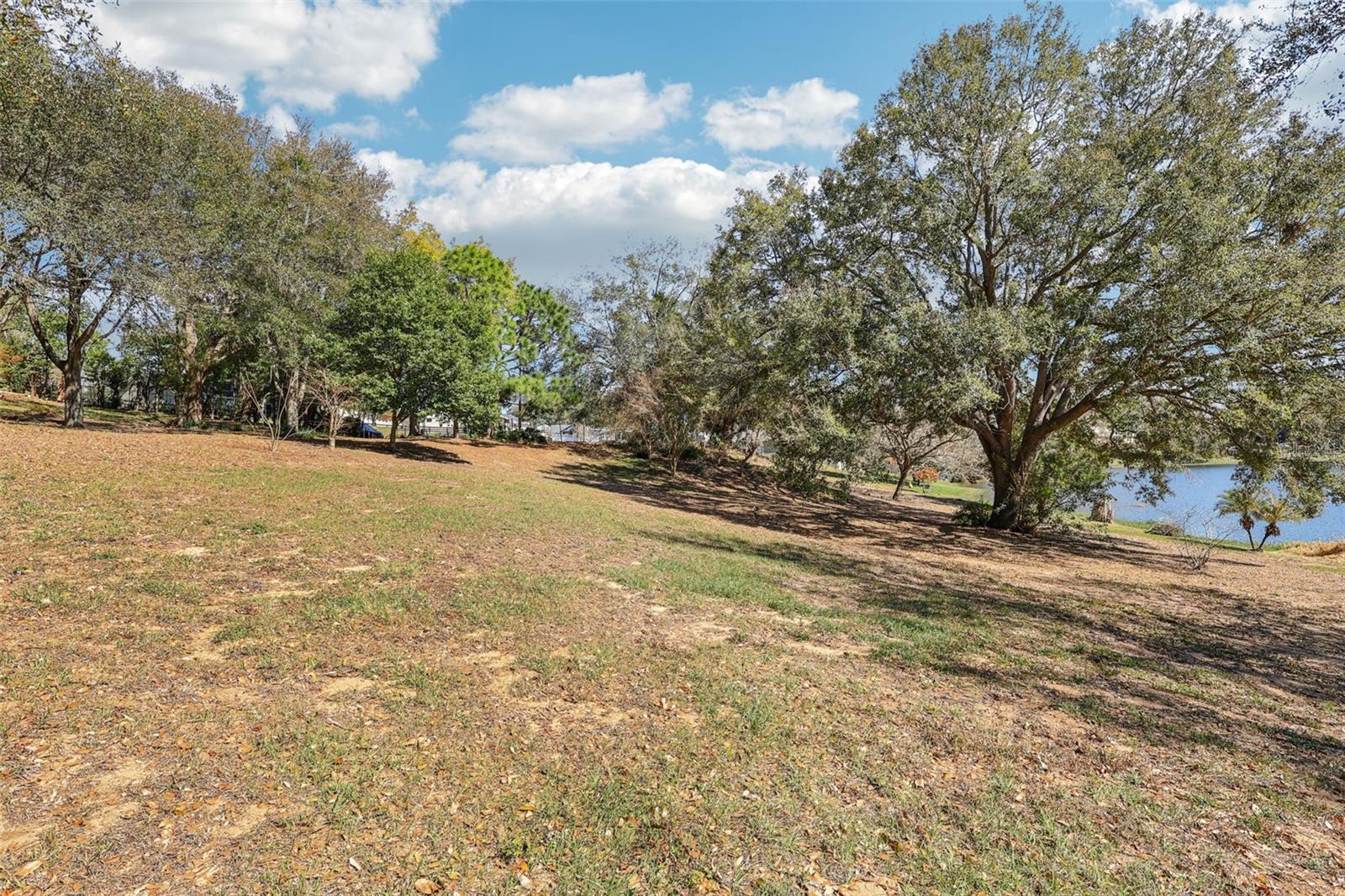 EUSTIS BELMONT HEIGHTS - Land