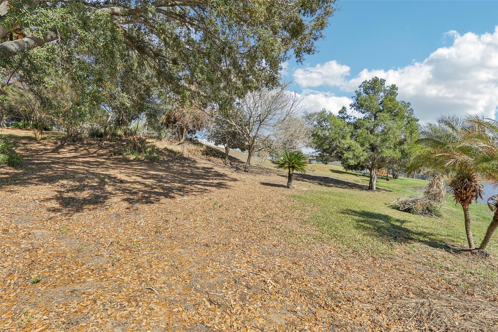 EUSTIS BELMONT HEIGHTS - Land