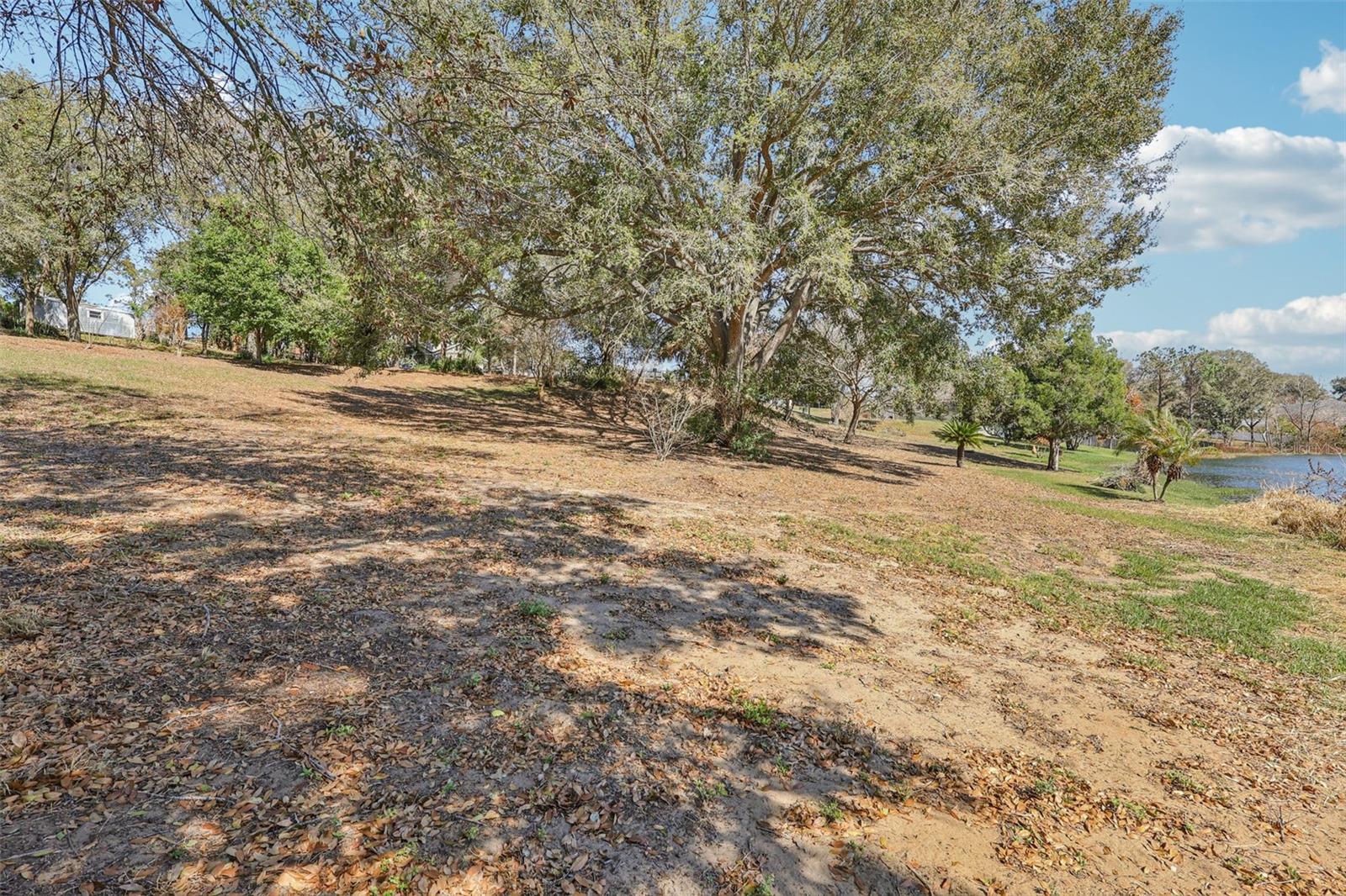 EUSTIS BELMONT HEIGHTS - Land