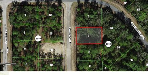 10965 N MATARO AVENUE CITRUS SPRINGS FL 34434