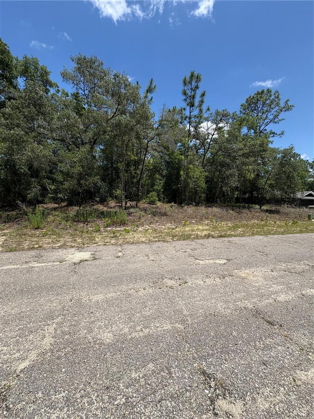 Photo of 10965 N Mataro Avenue, Citrus Springs, FL 34434 (MLS # G5097790)