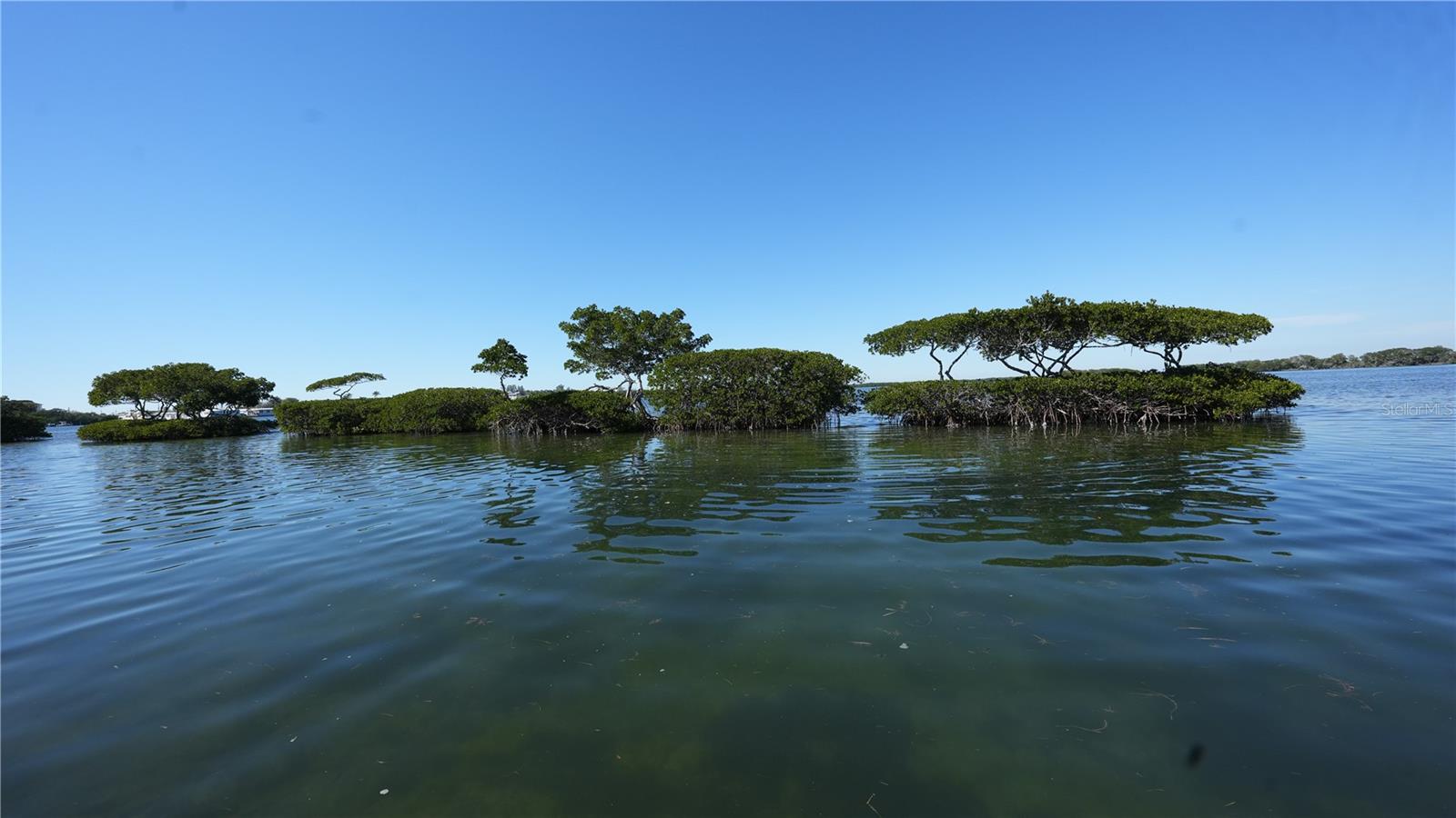 QUEENS HARBOUR - Residential