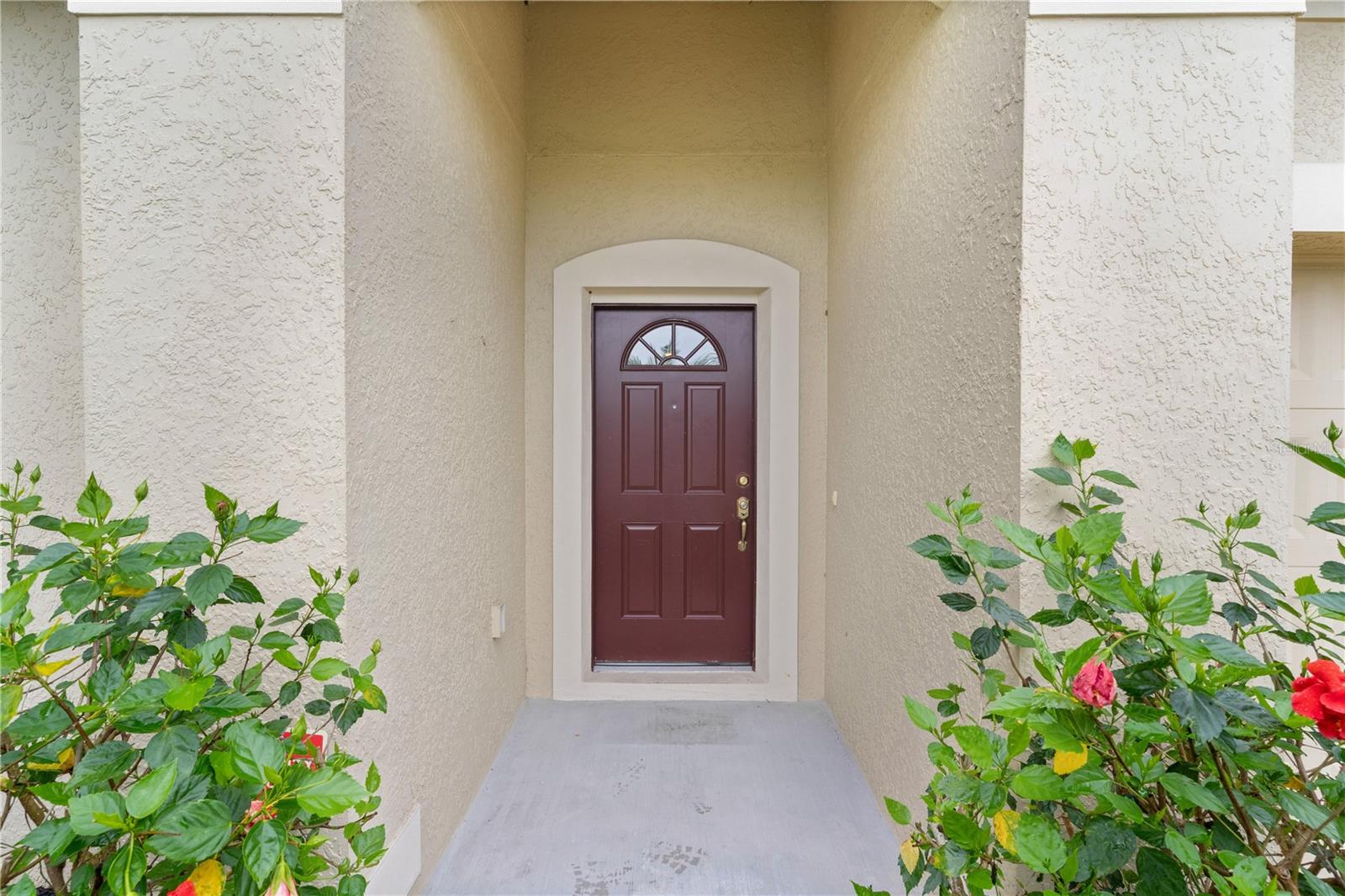 2424 PLUMADORE DRIVE