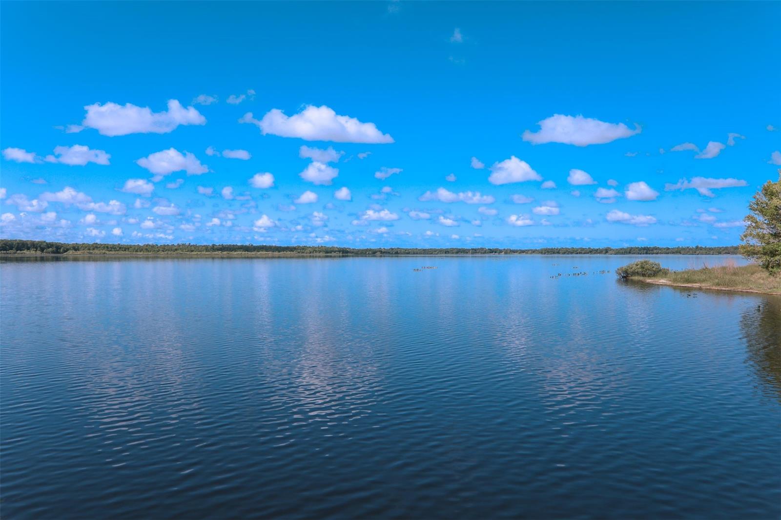 Howe & Curriers Allotment #1-3 - Land