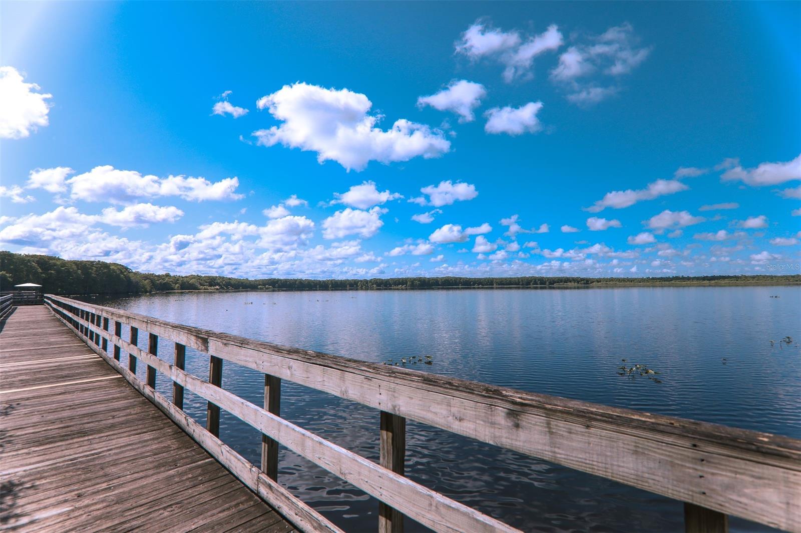 Howe & Curriers Allotment #1-3 - Land