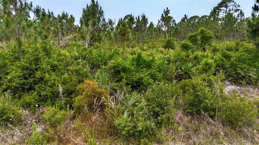 Photo of 14065 Newson Lane, Port Charlotte, FL 33981 (MLS # A4611544)