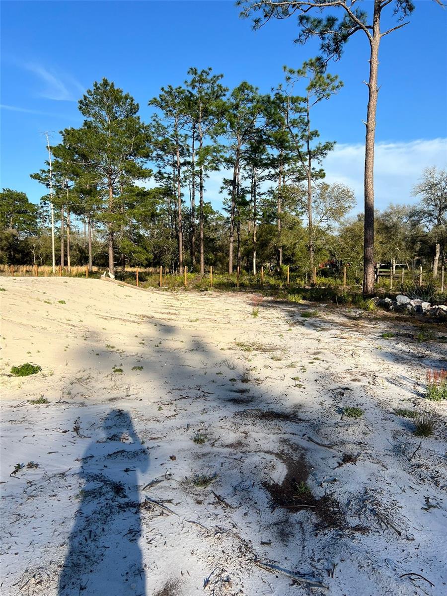 FLORIDA HIGHLANDS - Residential