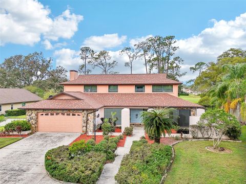 A home in PLANT CITY