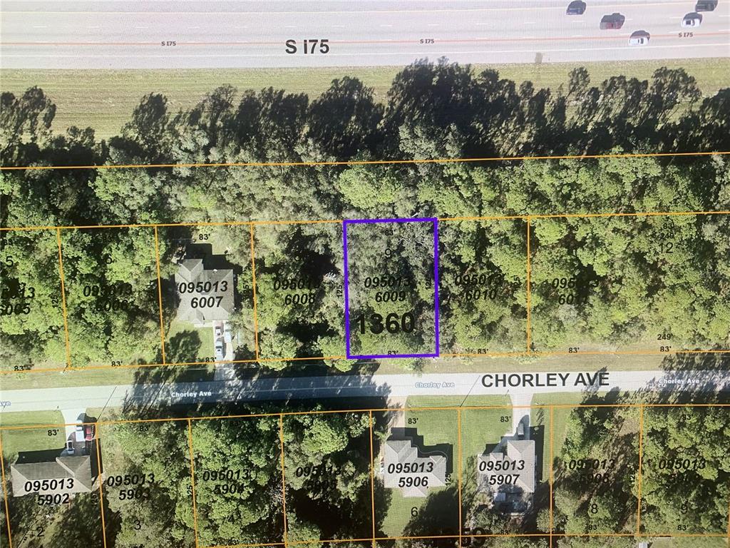 This parcel is located within minutes to riding trails, shopping, medical, schools, and quick access to I-75. Not located in a flood zone. No HOA, no deed restrictions. The land located close to WARM MINERAL SPRINGS.THIS PARCEL CAN BE YOUR DREAM HOME!