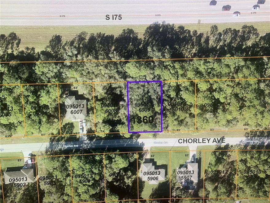This parcel is  located within minutes to riding trails, shopping, medical, schools, and quick access to I-75. Not located in a flood zone. No HOA, no deed restrictions.   The land located close to WARM MINERAL SPRINGS.THIS PARCEL CAN BE YOUR DREAM HOME!