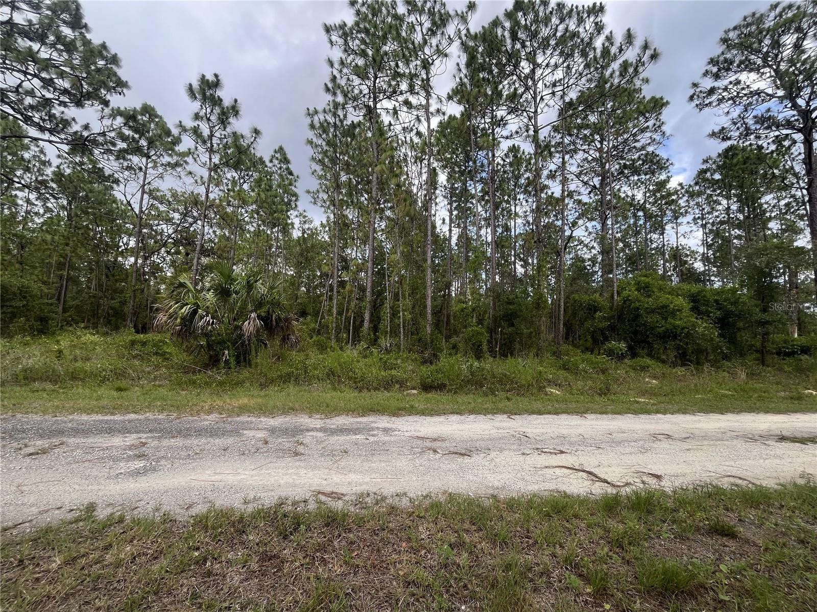 Escape to the serene beauty of Dunnellon with this spacious 1-acre vacant lot located in the Rainbow Lakes Estates subdivision of Levy County. Situated in Flood Zone X, this property offers peace of mind with no flood insurance required. It’s zoned RR-3C, making it ideal for building a custom home or holding as a long-term investment in a desirable rural setting. The lot features nearby paved road access and sits in a quiet, wooded area just minutes from outdoor destinations like Rainbow Springs State Park and the Withlacoochee River. With no HOA restrictions and plenty of room to spread out, this is your chance to own a beautiful piece of Florida land in a growing area. Contact us today before it’s gone!
