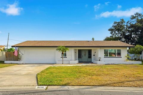 6236 17TH STREET S ST PETERSBURG FL 33712