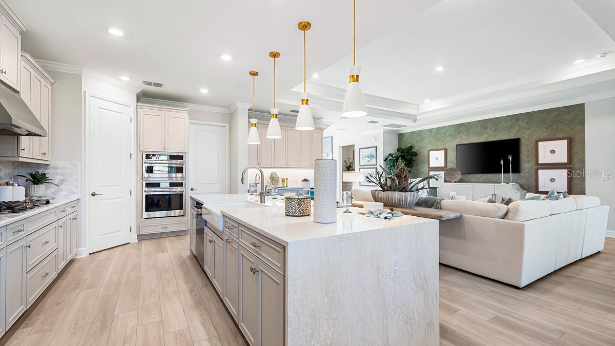 PALMS AT COASTERRA - Residential