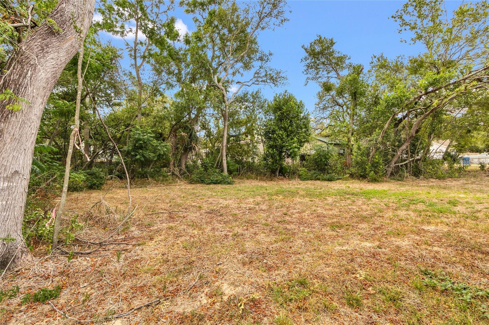 WEEKI WACHEE ACRES - Residential