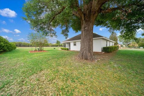 Tiny photo for 3498 NW 50th Court, Ocala, FL 34482 (MLS # OM722308)