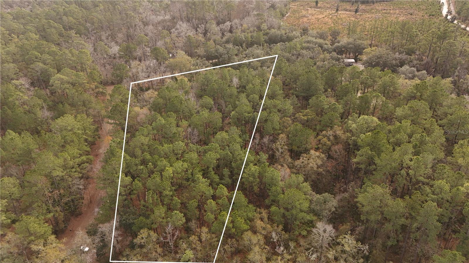 RIVER BROOK WOODS SUB - Land