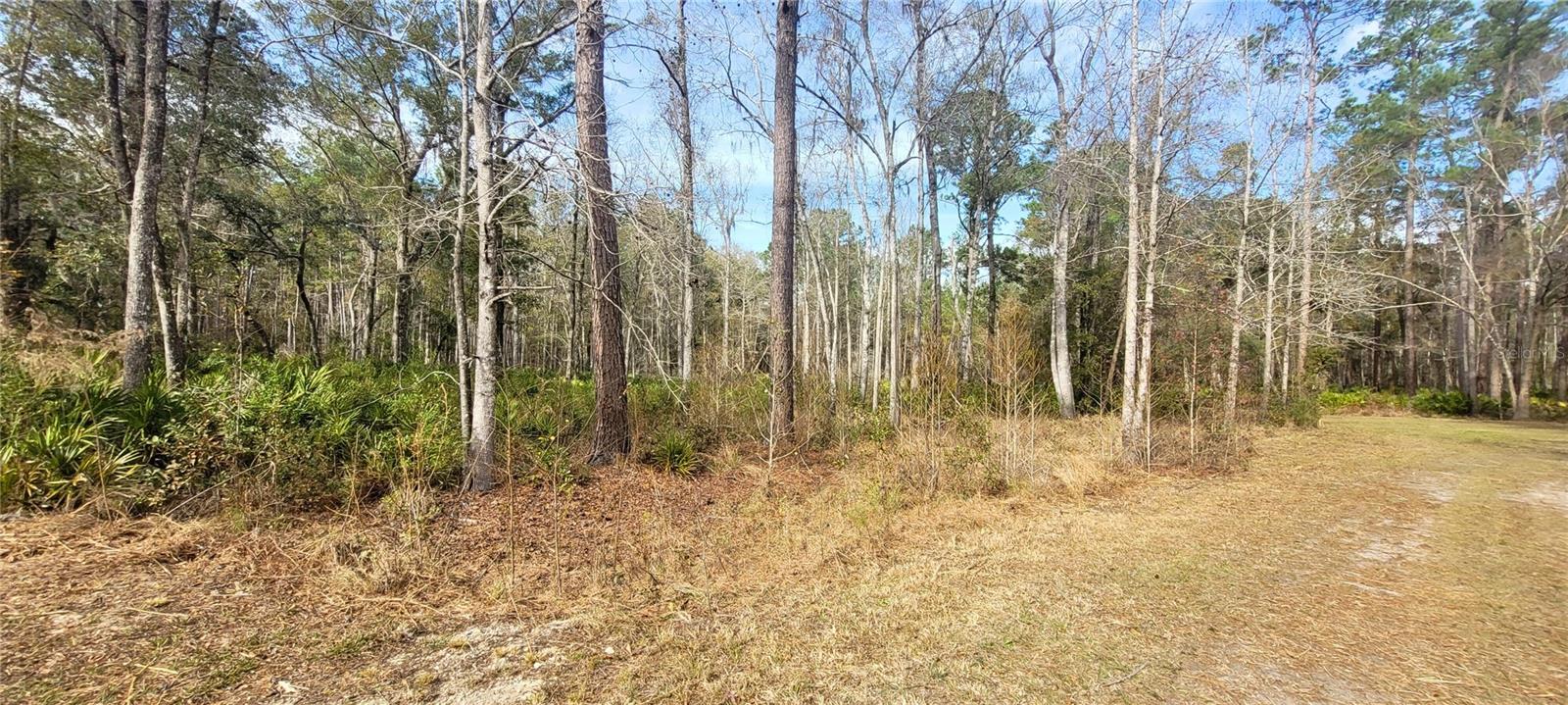 RIVER BROOK WOODS SUB - Land