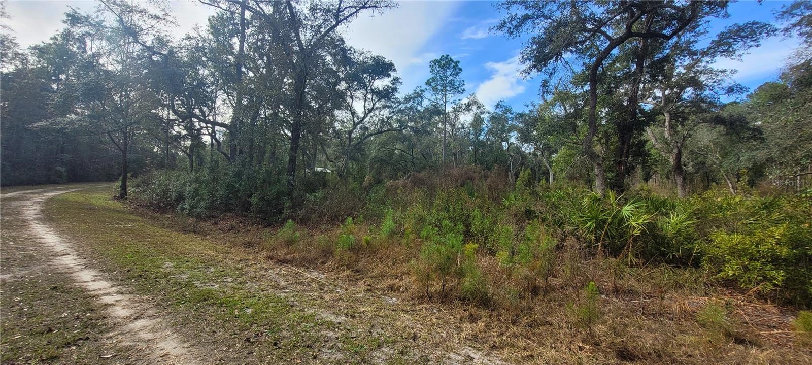 RIVER BROOK WOODS SUB - Land