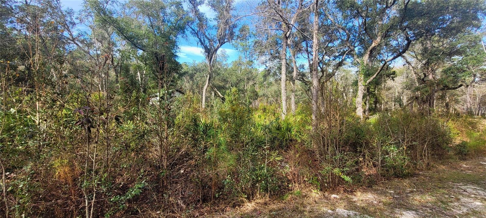 RIVER BROOK WOODS SUB - Land