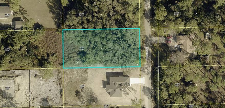 This spacious half acre lot offers a blank slate in a quiet, established neighborhood with easy access to local amenities, parks, schools, and just a short drive to Fort Myers and Southwest Florida's beautiful beaches. Whether you're building a custom single-family residence or seeking a peaceful retreat, this property provides ample room for privacy, outdoor living, and future potential in one of Lee County's fastest-growing communities.