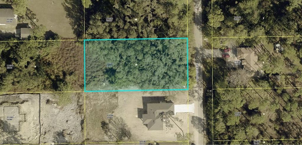 Photo of 1111 Prospect Avenue, Lehigh Acres, FL 33972 (MLS # A4694274)