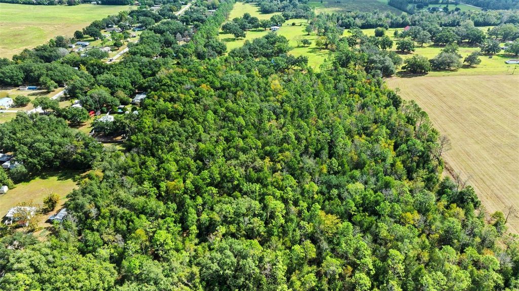 Photo of Shenna Lane, Zephyrhills, FL 33540 (MLS # TB8446178)