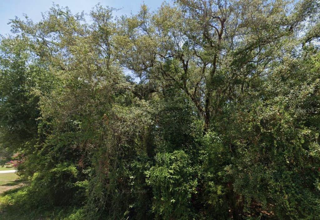 Photo of 2145 N Morningside Road, Avon Park, FL 33825 (MLS # O6306440)