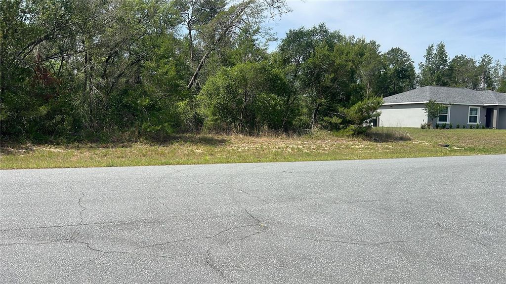 Photo of Tbd Marion Oaks Drive, Ocala, FL 34473 (MLS # O6405692)