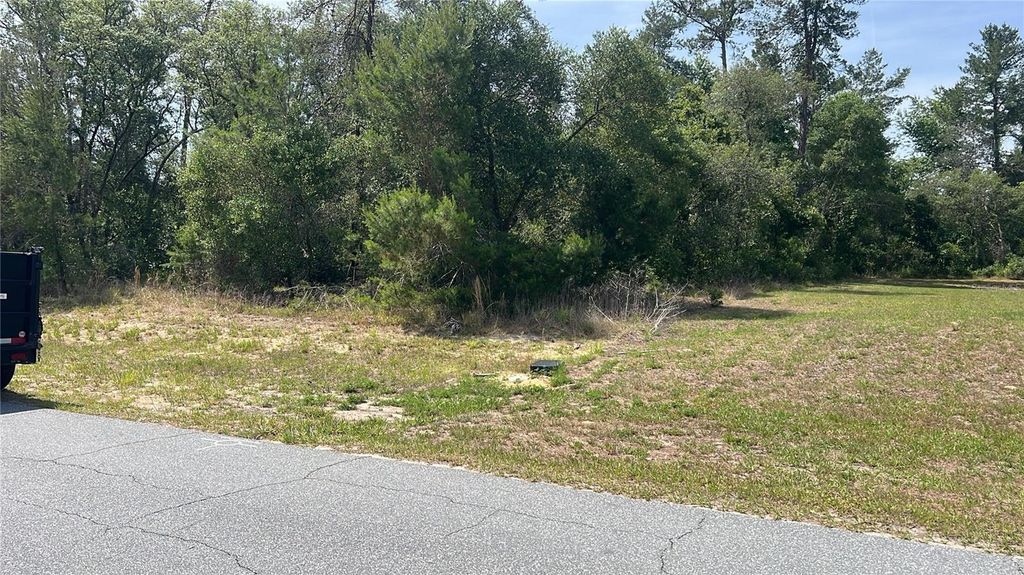 Photo of Tbd Marion Oaks Drive, Ocala, FL 34473 (MLS # O6405692)
