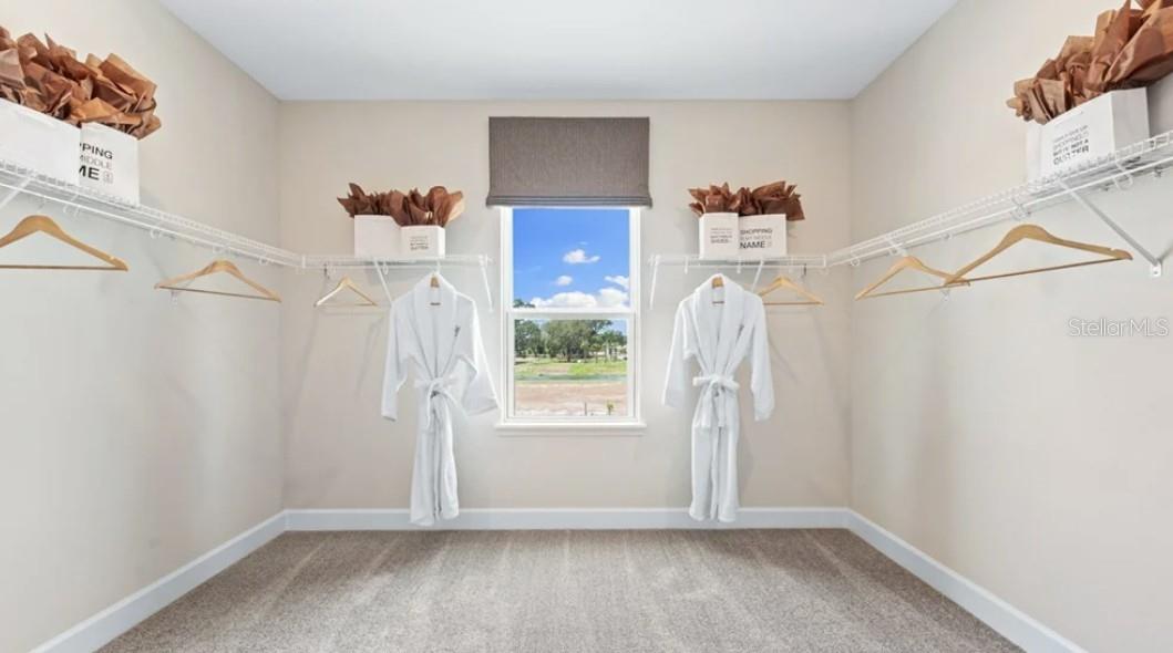 ARDISIA PARK - Residential