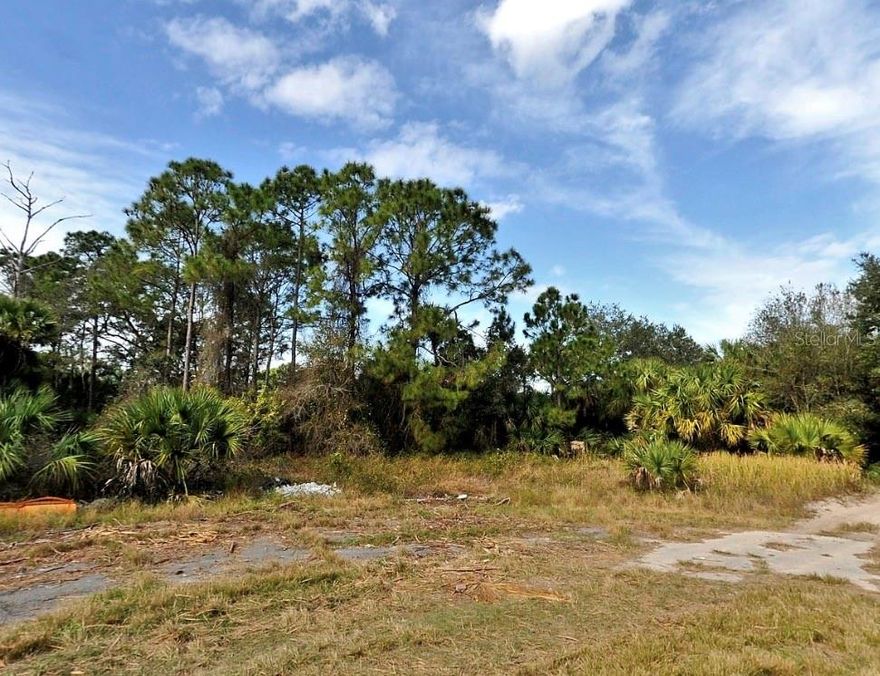 NICE BUILDABLE LOT! NOT IN A FLOOD ZONE! COME AND BUILD AND ENJOY FLORIDA!!