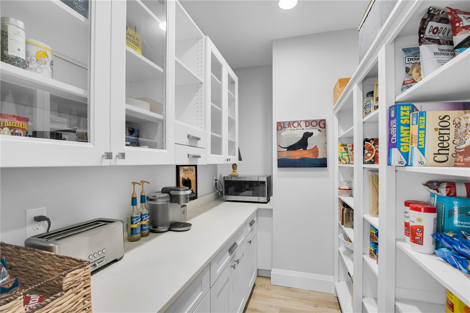 EUSTIS LAKE EUSTIS PLACE - Residential