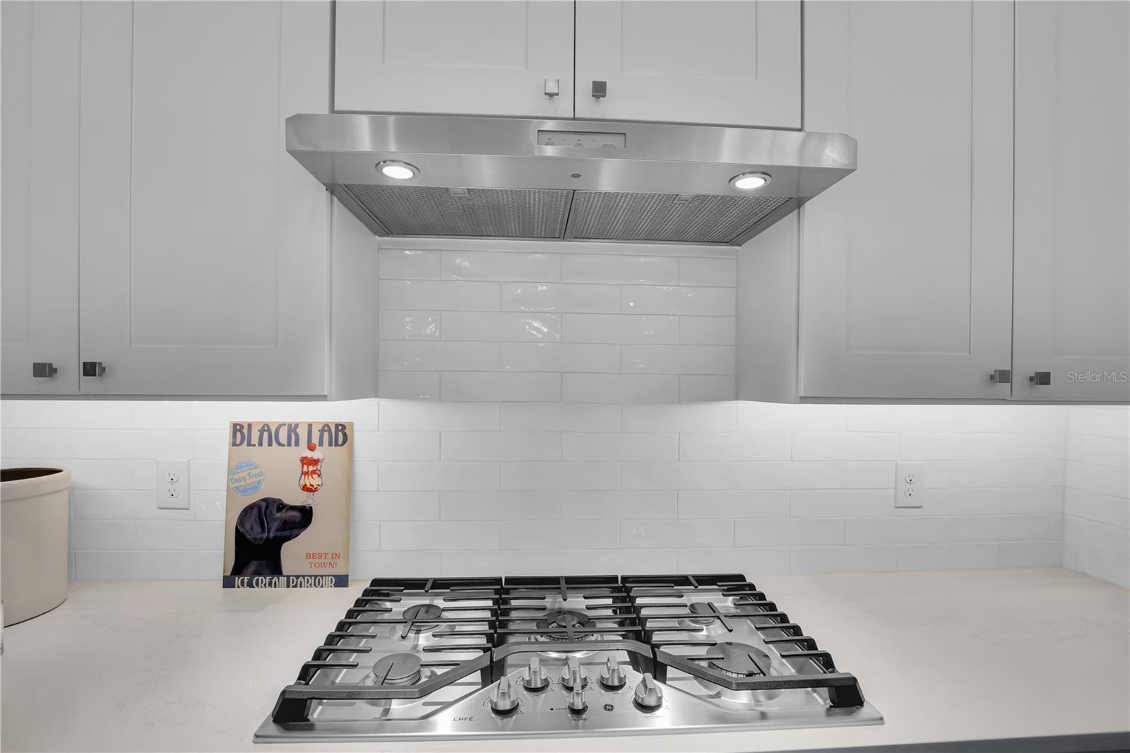 EUSTIS LAKE EUSTIS PLACE - Residential