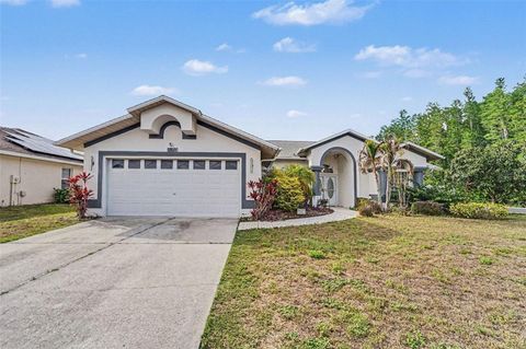 Photo of 8511 Siamang Court, New Port Richey, FL 34653 (MLS # TB8508447)