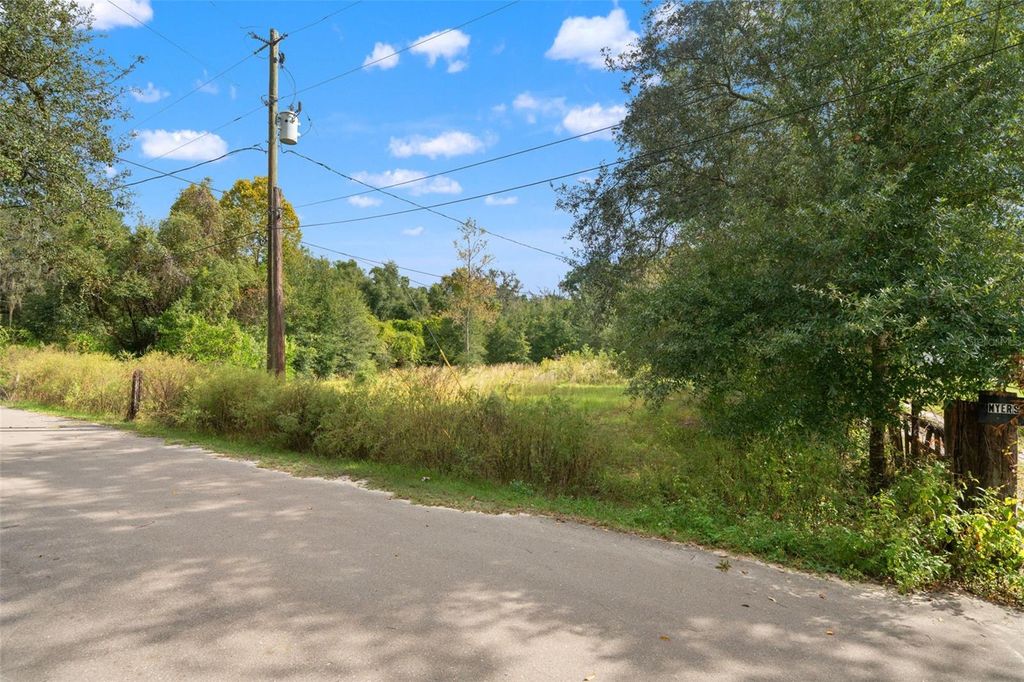 Photo of 4386 Cimarron Way, Dade City, FL 33523 (MLS # W7880295)