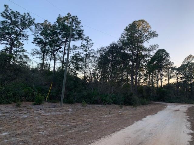 LAKE GEORGE MANOR - Land