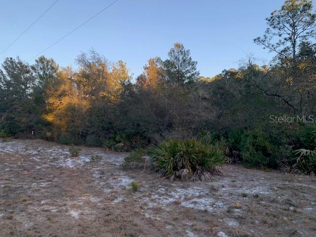 LAKE GEORGE MANOR - Land