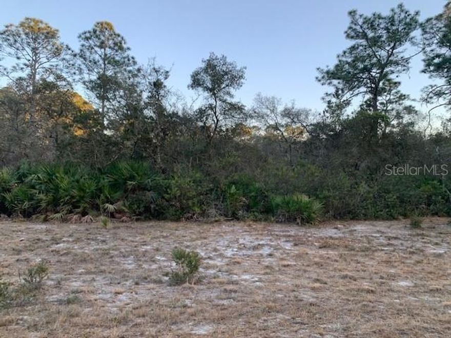 Prime Vacant Lot Opportunity!
Nearly ½-acre (0.46 ac) of residential R-2 zoned land in the Lake George Manor neighborhood of Georgetown, FL — ideal for a site-built, modular, or mobile home, with NO impact fees in Putnam County. Enjoy a quiet country road setting just minutes from outdoor recreation, including fishing, boating, and Oaks Golf Course, plus convenient access to St. Augustine, Jacksonville, Orlando, and area beaches. Electricity available at the street (buyer to verify utilities and complete due diligence, including survey). Motivated seller — excellent value under $20K!